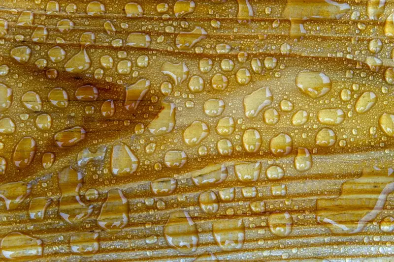广西天安木业解析实木地板含水率控制对华南家装的关键影响正文配图 1